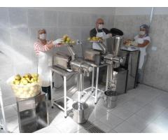 KIT DE EQUIPOS FABRICAR PULPAS FRUTAS-VEGETALES