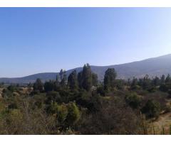 FLAMANTE Y  GRAN TERRENO DE 1,68 HECTAREAS, PUCHUNCAVI, SECTOR PUCALAN