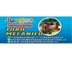 Arriendo Toro Mecánico  Rancagua, Machalí, alrededores