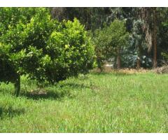 PARCELA AGRICOLA en melipilla