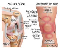 Apiterapia Curación Excepcional con La Toxina de las Abejas