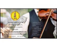 Productora de matrimonios: Música, Orquestas, Banquetería, Fotografía, ¡TODO!