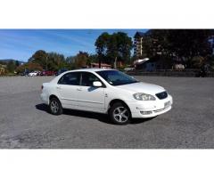 TOYOTA COROLLA 2007  VILLARRICA AL DIA.