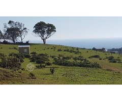 Terrenos con vista al mar Pichicuy