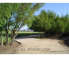 OPORTUNIDAD PARCELA 5000 M2 TALAGANTE $ 75.000.000