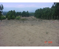 Terreno 5000m2 Puchuncavi