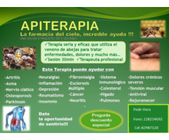 Apiterapia Tratamiento con Abejas