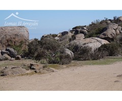 PROYECTO FUSIÓN, PARCELAS CON VISTA AL MAR