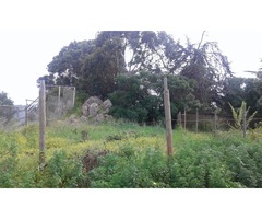 Terreno en Quilimarí, Los Vilos buena ubicacion