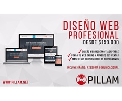 DISEÑO WEB PROFESIONAL