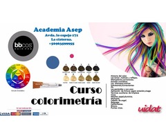 Curso tecnico en colorimetria