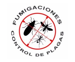 Fumigaciones Plagas Maitencillo Cachagua Zapallar