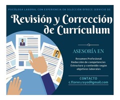 Revisión y Corrección de Currículum Vitae