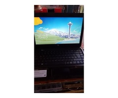 notebook hp 1000