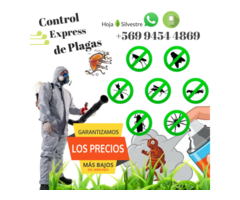 fumigador - control de plagas - fumigaciones