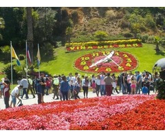 AÑO NUEVO EN VIÑA DEL MAR