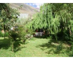 VALLE DEL ELQUI VENDO SITIOS CON RIO, SECTOR aLCOHUAZ