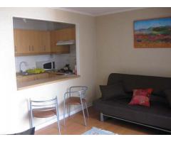 ARRIENDO  departamentos amoblados en SANTIAGO CENTRO  por días1 y 2 dormitorios