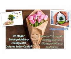 Un Hogar Biodegradable y Ecologico!!! Quieres Saber Cómo?