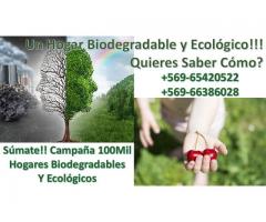 Un Hogar Biodegradable y Ecologico!!! Quieres Saber Cómo?