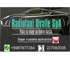 Radio Taxi Solicita Moviles de Color-Quilicura