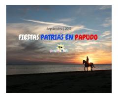 Arriendo departamentos fiestas patrias en Papudo 1908VPDS01