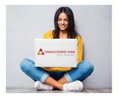 Diseño y Desarrollo de Páginas Web en Puerto Montt / Creacionespuertomontt.com